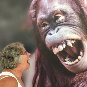 Meet your Posher, Janice